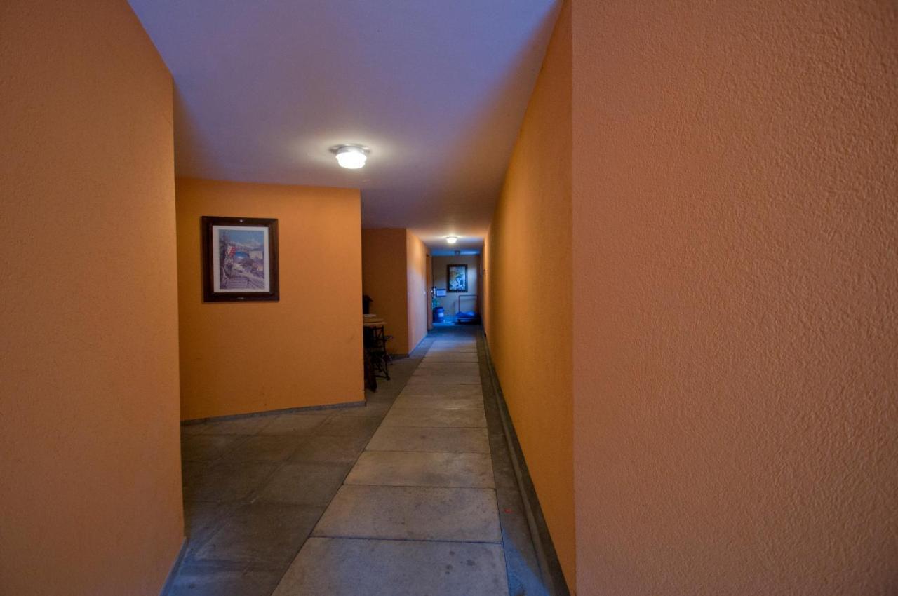 Haus Bodmen C, Apartment Edelweiss زيرمات المظهر الخارجي الصورة
